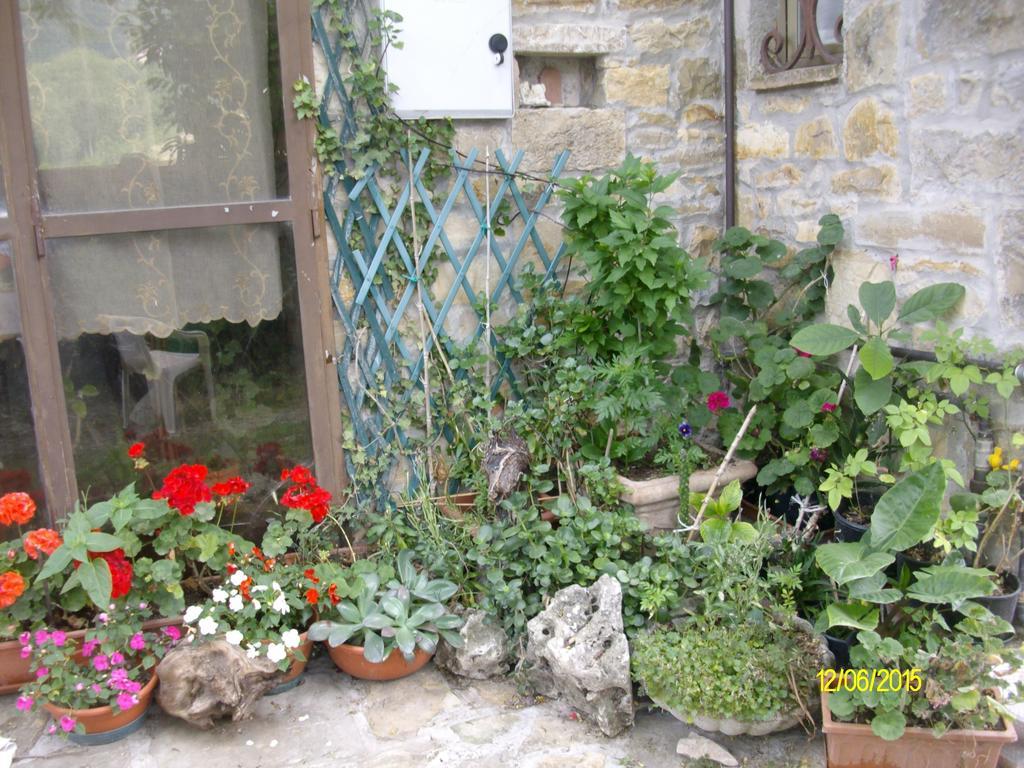 B&B San Nicola Serramazzoni エクステリア 写真