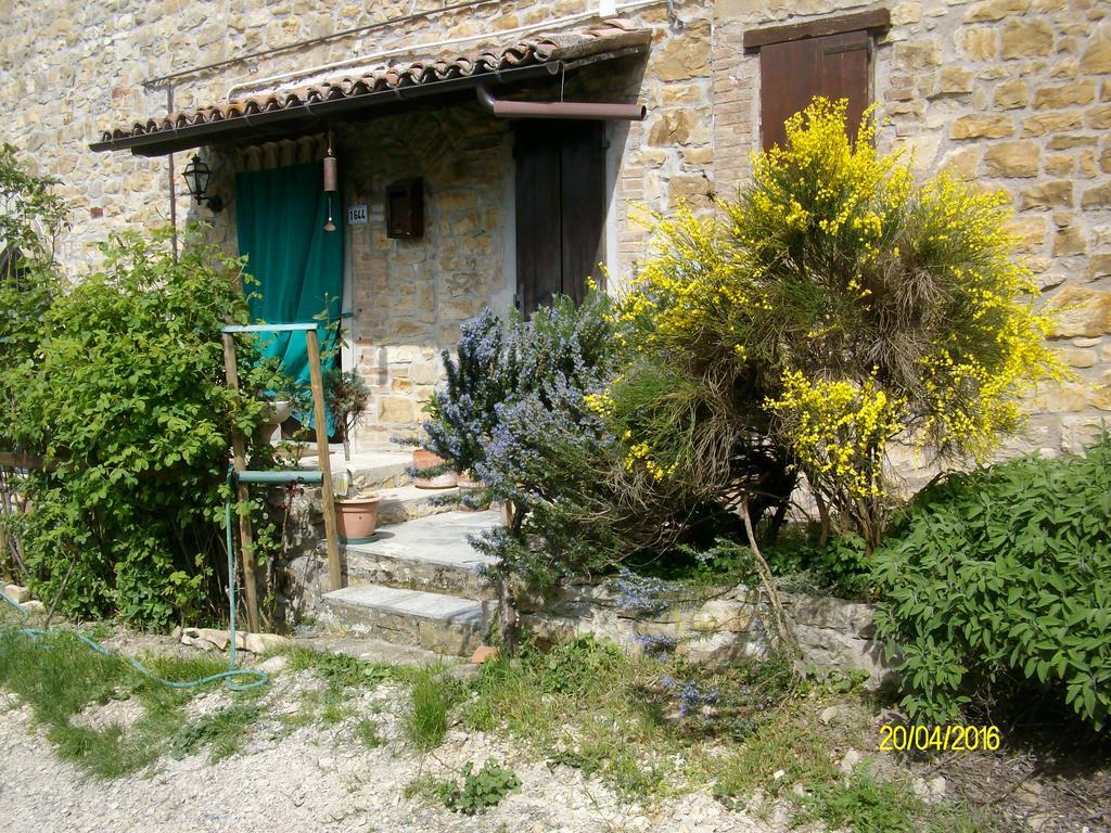 B&B San Nicola Serramazzoni エクステリア 写真