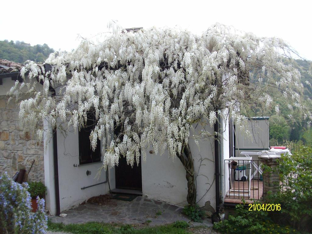 B&B San Nicola Serramazzoni エクステリア 写真